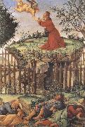 prayer in the Garden (mk36) Sandro Botticelli